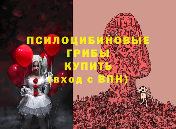 шишки Нефтегорск