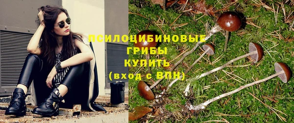 ГАЛЛЮЦИНОГЕННЫЕ ГРИБЫ Армянск