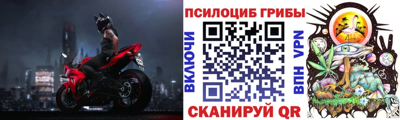 OMG зеркало  Балахна  Псилоцибиновые грибы мицелий  закладки 